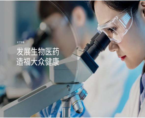 知微医药高端网站设计