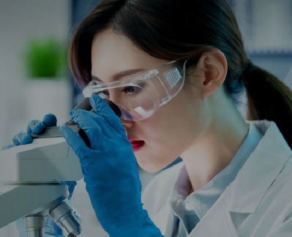 艾瑞德生物网站建设