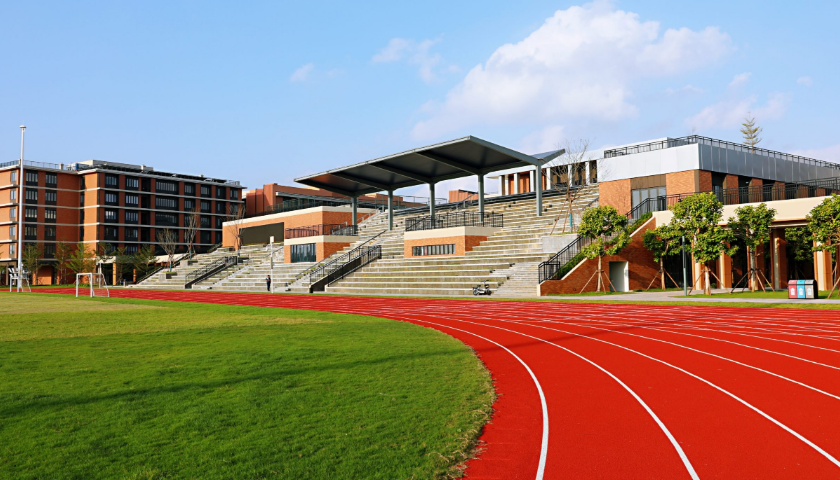 留学培训网站建设