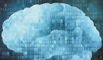企业的官网，每一个网页页面应当置放哪些内容