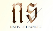 派琪构建高端品牌网站案例分享：Native Stranger银饰