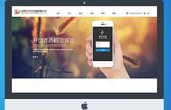 选择上海派琪，让你的企业官网更具品牌力和影响力