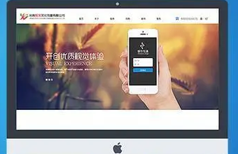 数字化革命:生物医疗网站建设的关键驱动因素